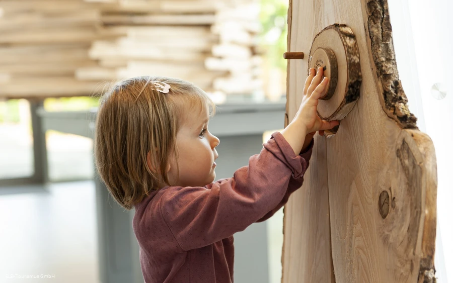 Fühlkasten Fühlkasten