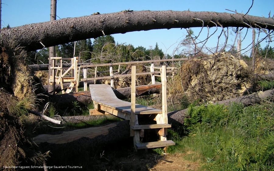 Der Kyrill-Pfad Der Kyrill-Pfad