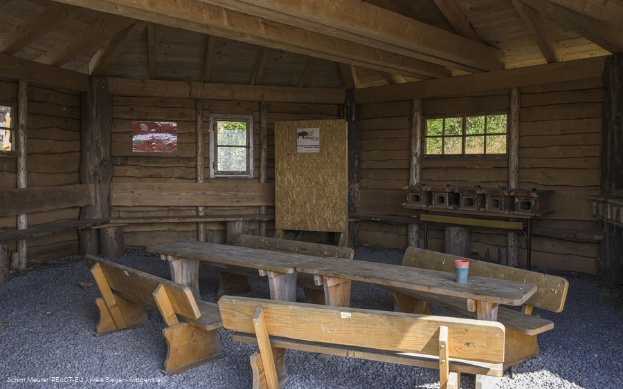 Wisent-Wildnis Wisent-Wildnis