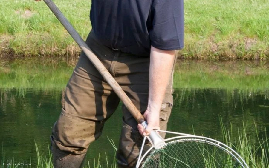 Michael Kaiser