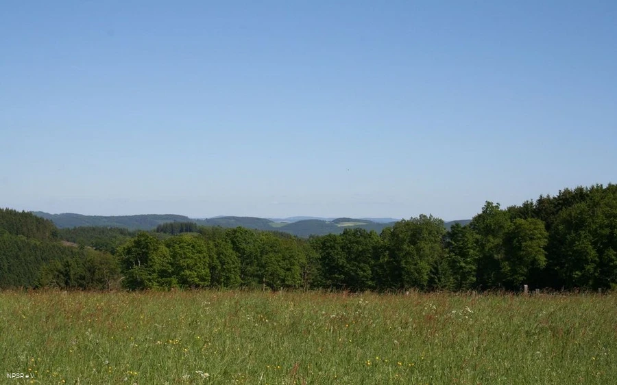 Panorama am Wanderparkplatz Panorama am Wanderparkplatz