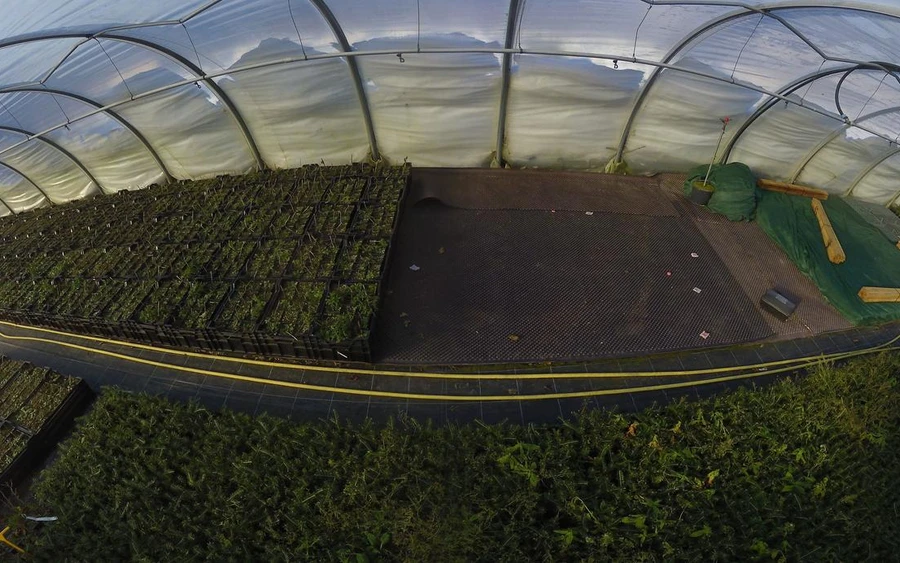 Mitte Januar - es ist weiterhin Vegetationsruhe