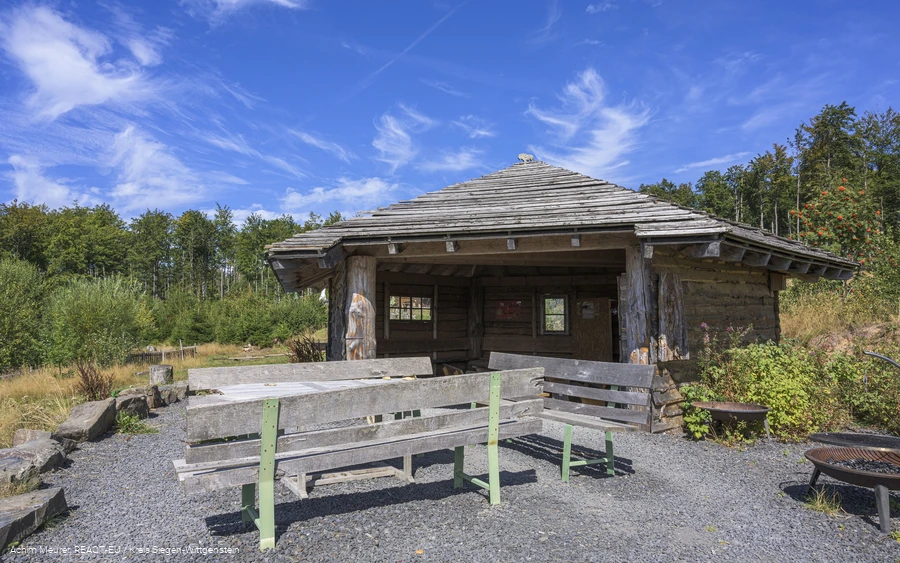 Wisent-Wildnis Wisent-Wildnis