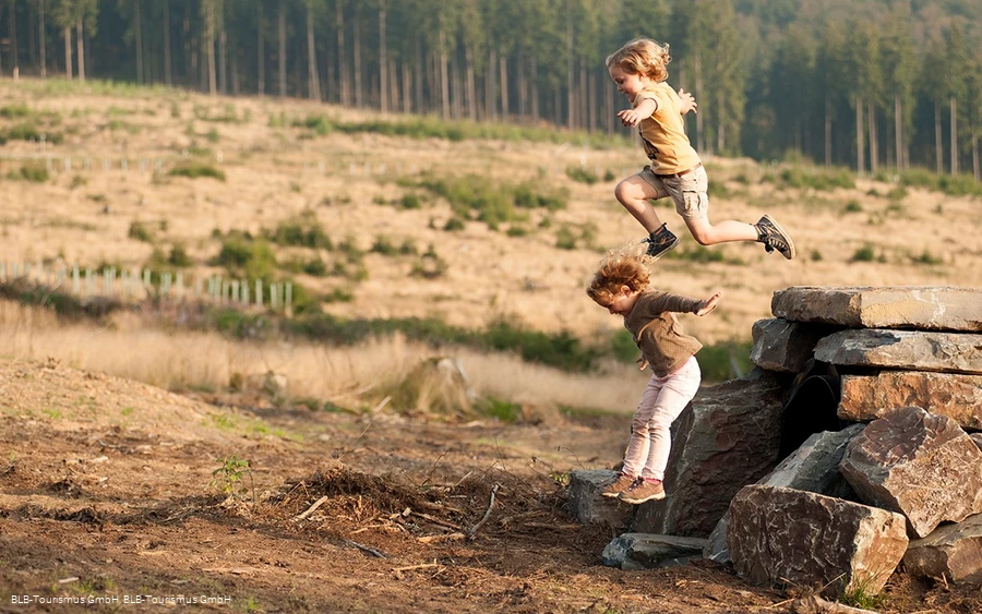 Wisent Wildnis springende Kinder Wisent Wildnis springende Kinder