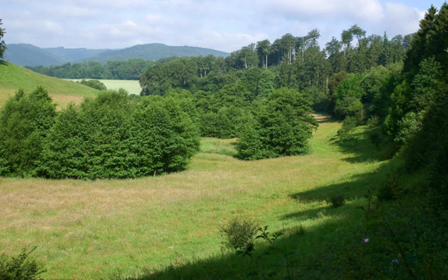 29_H_Orlebachtal-2014_NZMK_Haupt.jpg