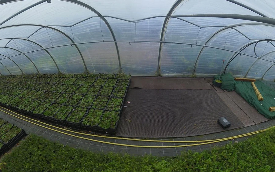 Anfang Dezember 2024