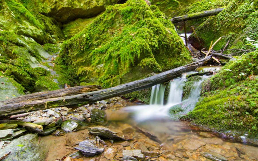 30_H_Bommecke Haupt Michael Kaub.jpg