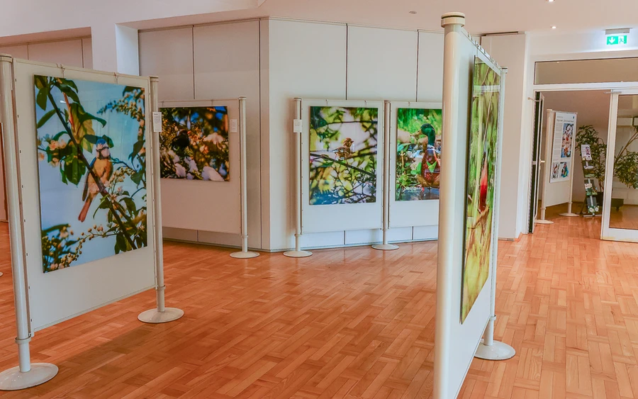 Ausstellung im Kreishaus Olpe_3