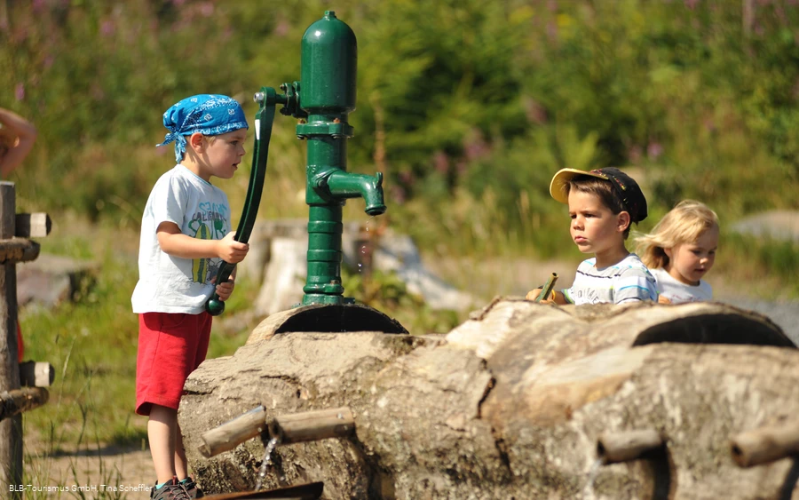 Spielplatz Wisentwildnis