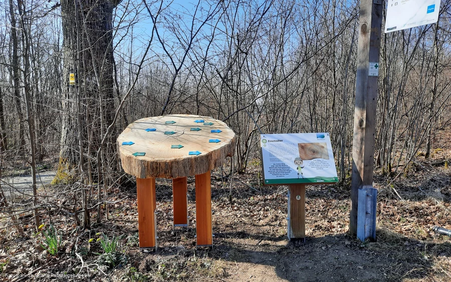 Bäume, ihr Alter und wichtige Ereignisse