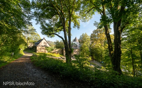 Beide Linden an der Burg Bilstein sind als Naturdenkmäler ausgewiesen.