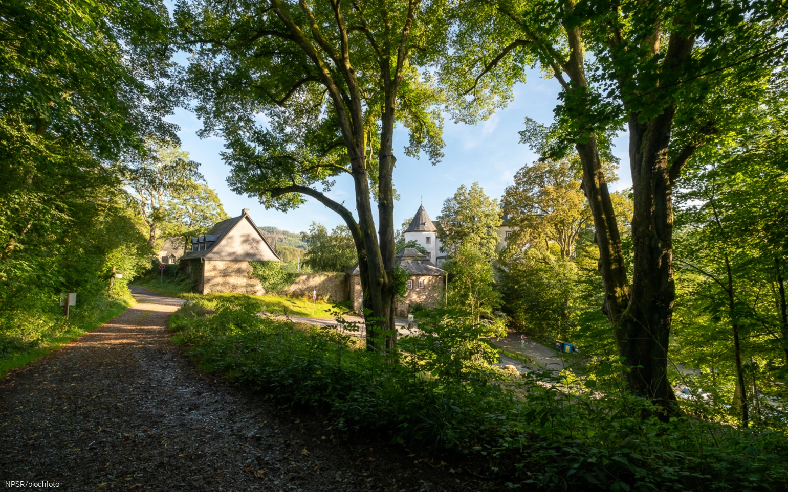 Beide Linden an der Burg Bilstein sind als Naturdenkmäler ausgewiesen.