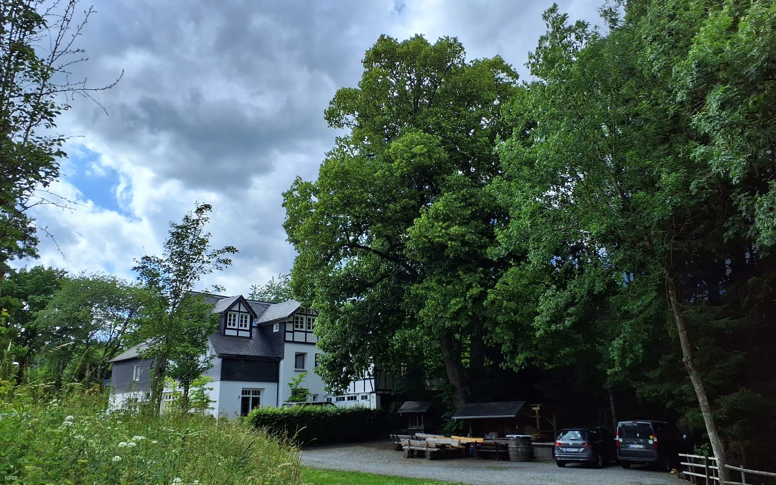 Linde in Meschede-Remblinghausen
