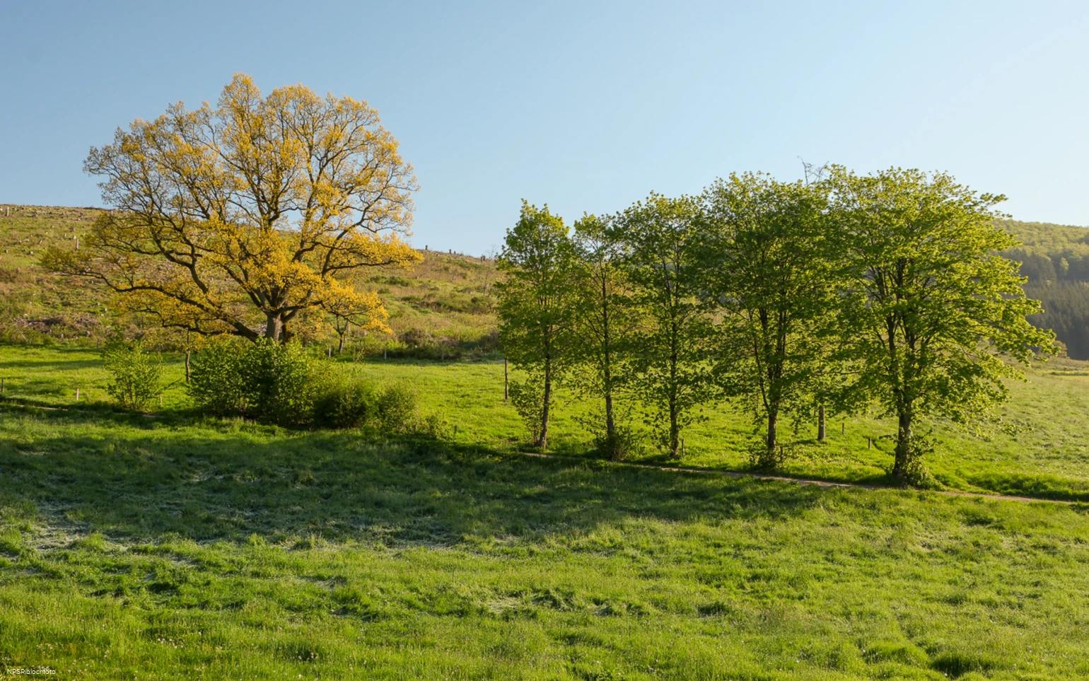 Goldige Ansichten in Bad Berleburg