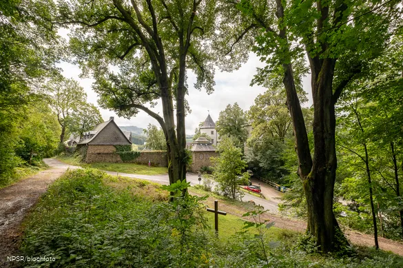 Blick von oben auf die beiden Linden