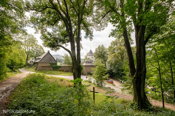 Blick von oben auf die beiden Linden