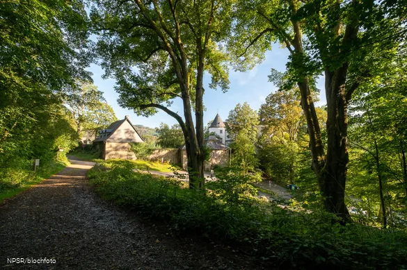 Beide Linden an der Burg Bilstein sind als Naturdenkmäler ausgewiesen.