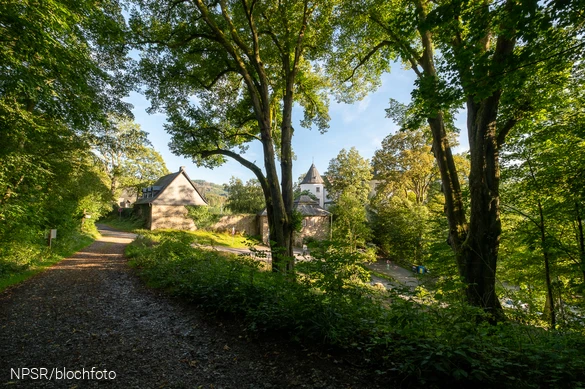 Beide Linden an der Burg Bilstein sind als Naturdenkmäler ausgewiesen.