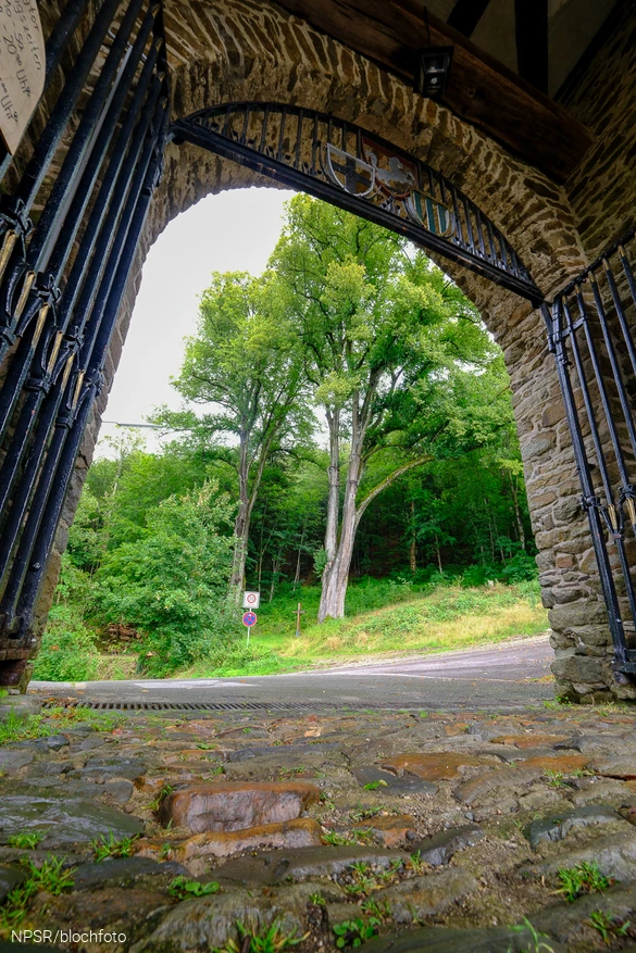 Blick durch das Burgtor.