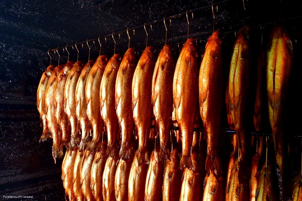 Räucherfische Räucherfische
