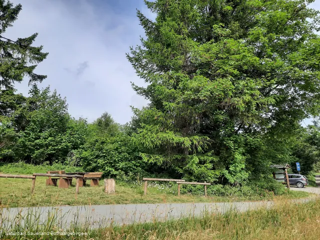 Parken und Rasten am Sohl