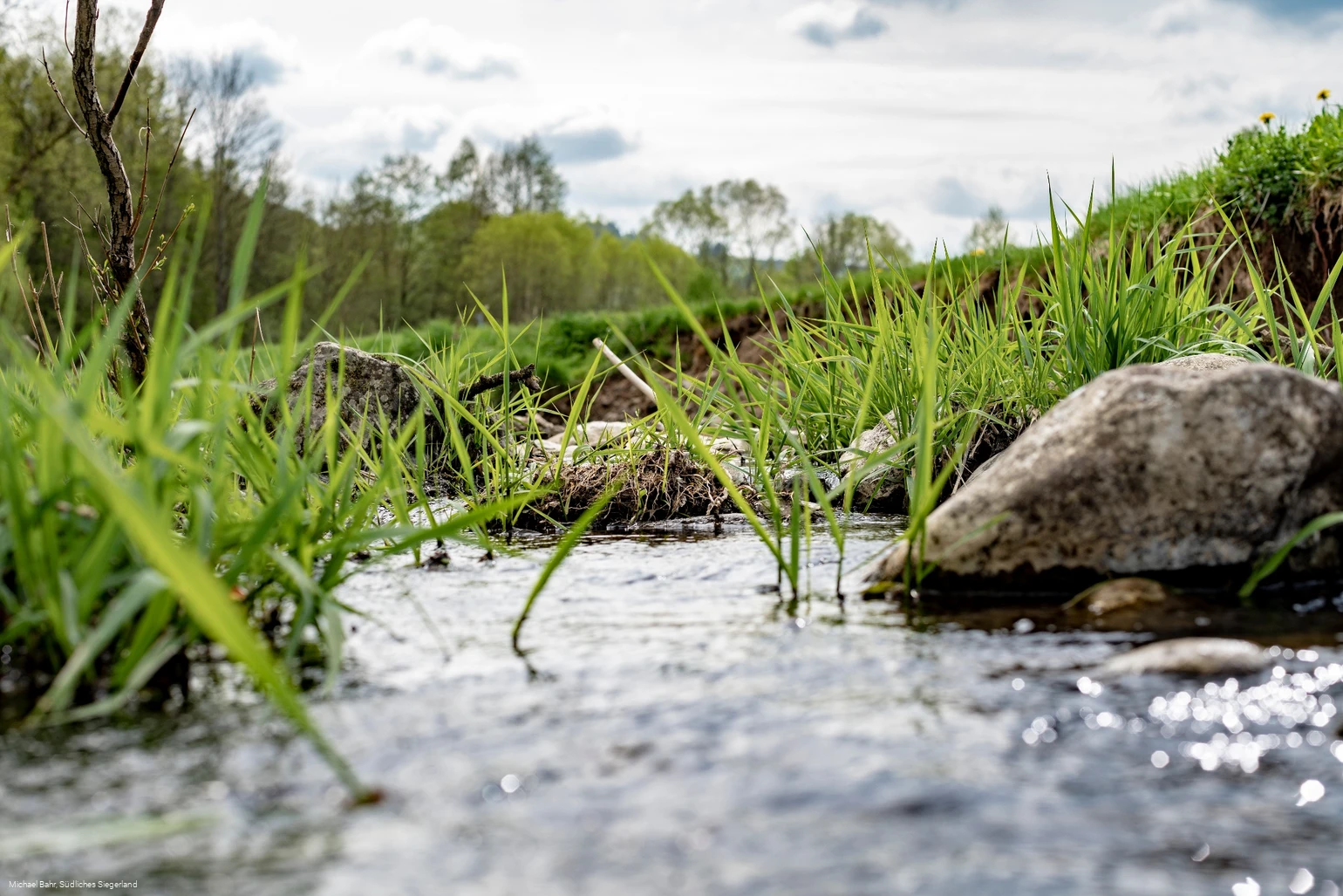Der Wetterbach in Holzhausen