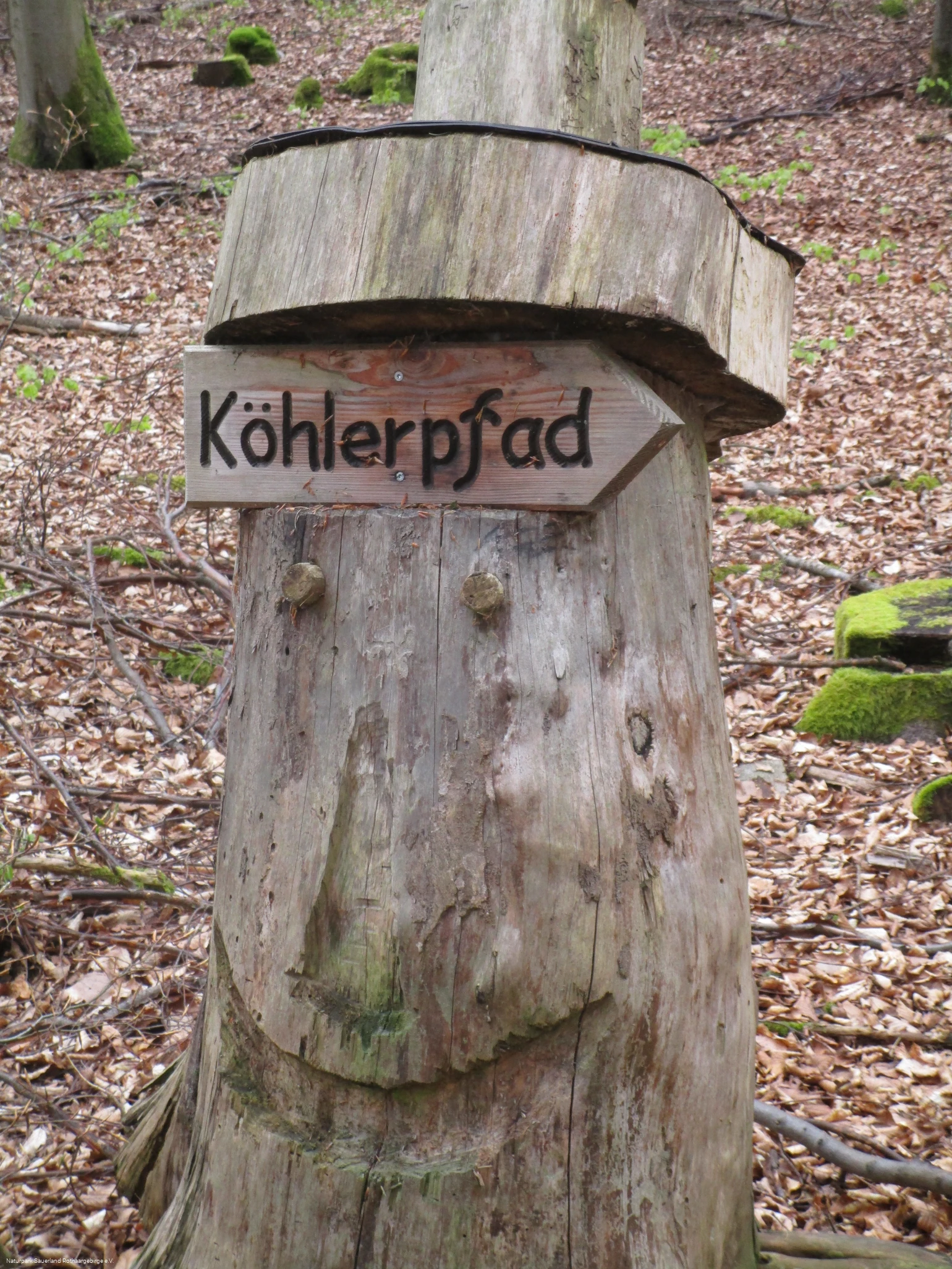 Auf den Spuren der Köhlerei