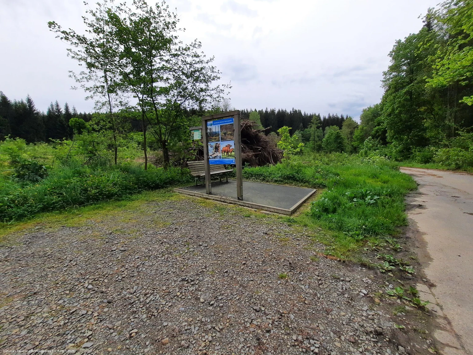 Wanderparkplatz Dollenbruch.jpg