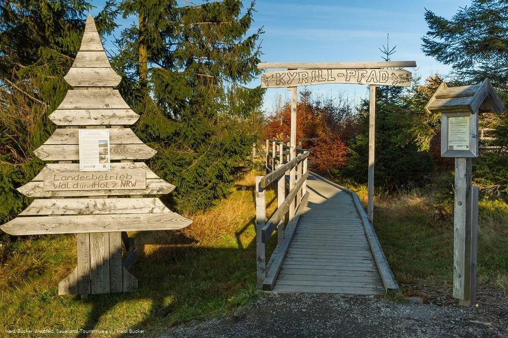Kyrillpfad Schmallenberg-Schnaze