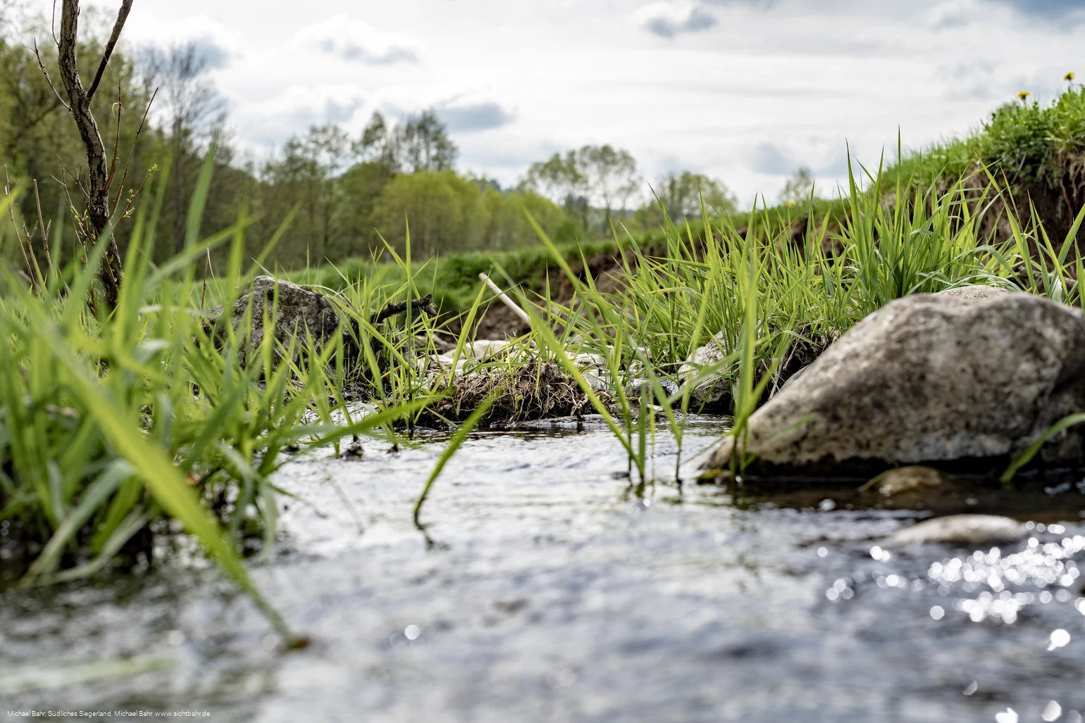 Der Wetterbach in Holzhausen