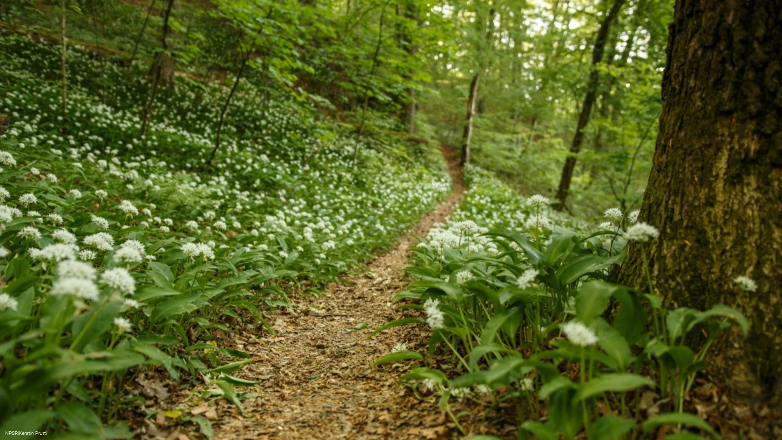 Impressionen aus dem "Breiten Hagen"