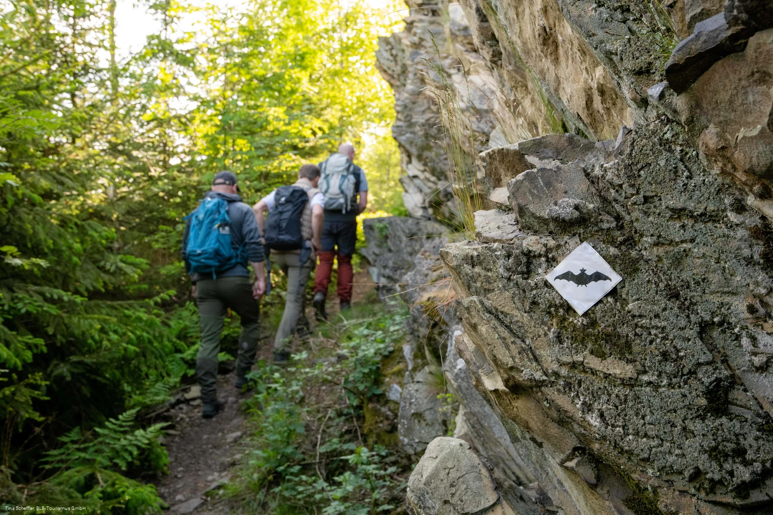 Wittgensteiner Schieferpfad
