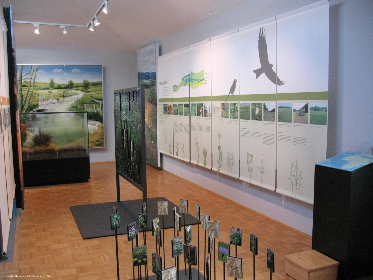 Naturpark Infozentrum Sauerland-Rothaargebirge