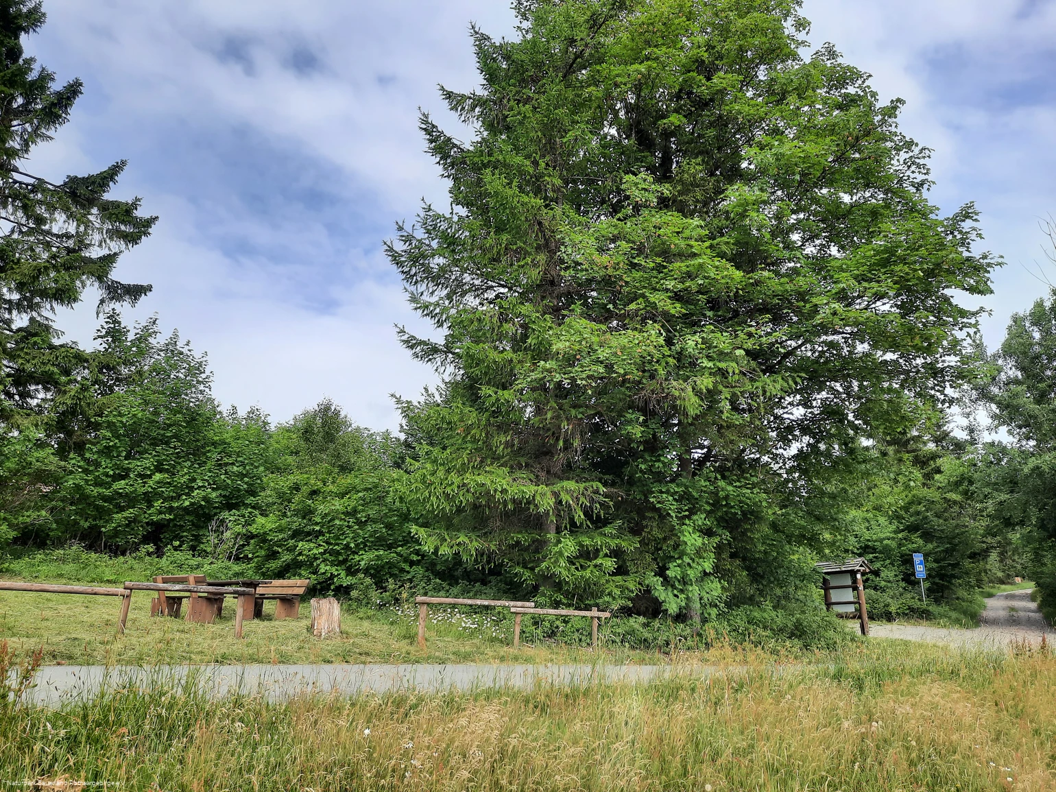 Parken und Rasten am Sohl