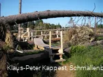 Der Kyrill-Pfad