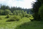 42_H_Elberndorf-Zwischenmoor_Ralf Kubosch.jpg