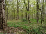 04_H_Waelder-um-Welver_Haupt Luise Hauswirth.jpg