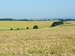 06_H_-Hellwegboerde-Haarstrang_Ralf Joest.jpg