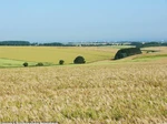 06_H_-Hellwegboerde-Haarstrang_Ralf Joest.jpg