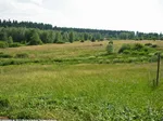 43_H_Ginsberger_Heide_Haupt Ursula Siebel.jpg
