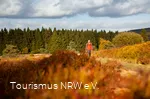 Mann wandert durch Heide