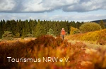 Mann wandert durch Heide
