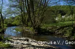 Fluss fließt durch Landschaft