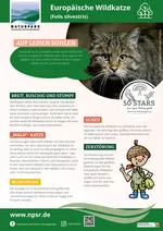 48_Wildkatze