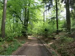 12_H_Moosfelde_Katharina Wrede.jpg