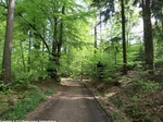 12_H_Moosfelde_Katharina Wrede.jpg