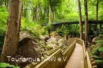 Impressionen des angrenzenden Felsenmeeres Hemer