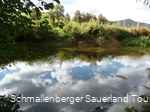 Am Wennepfad in Wenholthausen
