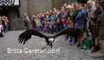 Greifvogelschau Burg Altena2_Foto Britta Gerstendorf.jpg
