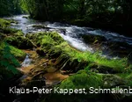 Die Wenne am Wennepfad in Wenholthausen